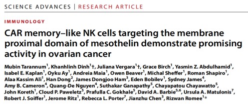 靶向间皮素的CAR记忆样NK细胞：卵巢癌治疗的新希望