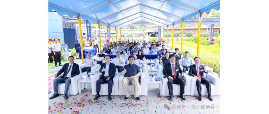 联动香港，开启前海细胞治疗新未来——深港凯发K8盛大开业