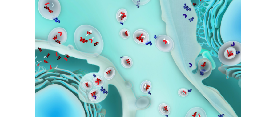 哪吒闹海！外泌体面纱大揭秘，我命由我不由天！