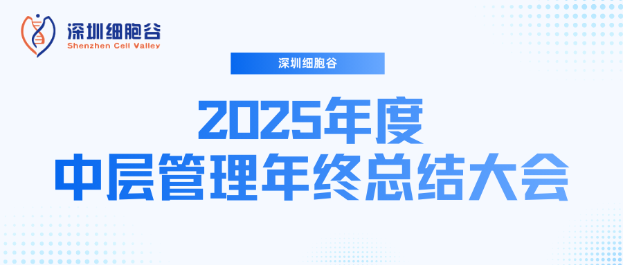 深圳凯发K8召开2025年度中层管理年终总结大会：多点布局成果丰硕，创新驱动快速开展