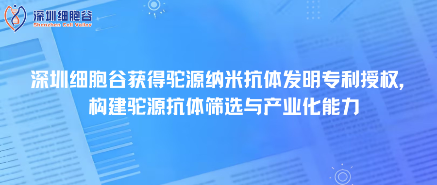 深圳凯发K8取得驼源纳米抗体发明专利授权，构建驼源抗体筛选与产业化能力