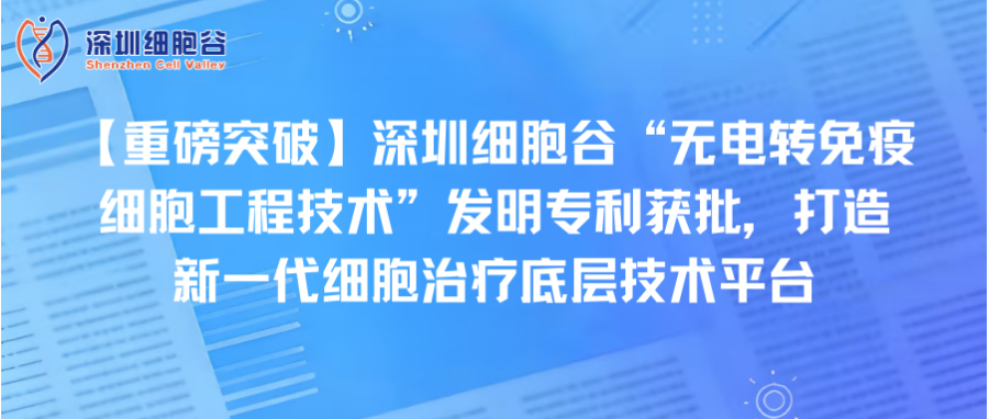 【重磅突破】深圳凯发K8“无电转免疫细胞工程技术”发明专利获批，打造新一代细胞治疗底层技术平台