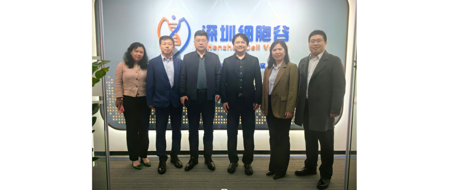 研讨合作｜河南科技大学第二附属医院院长邢建武、副院长王慧睿一行莅临深圳凯发K8研讨访问